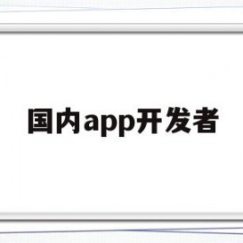 国内app开发者(app开发者叫什么)