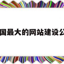 中国最大的网站建设公司(中国最大的网站建设公司是)