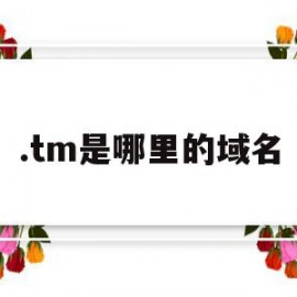 关于.tm是哪里的域名的信息