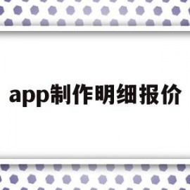 app制作明细报价(app制作明细报价怎么做)