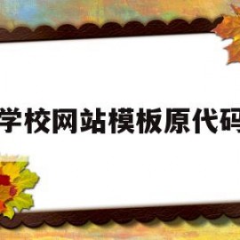 学校网站模板原代码(学校网站模板原代码是什么)