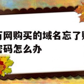 关于在万网购买的域名忘了账号和密码怎么办的信息