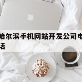 哈尔滨手机网站开发公司电话(哈尔滨手机网站开发公司电话地址)