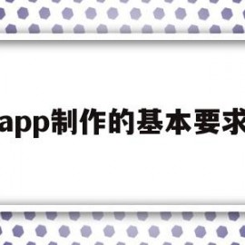 app制作的基本要求(app制作一个需要多少钱)