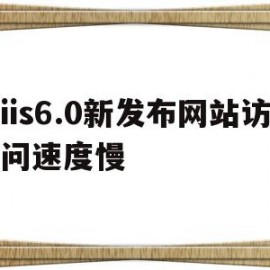 iis6.0新发布网站访问速度慢(元气骑士雇佣新随从扣血)