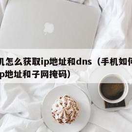 手机怎么获取ip地址和dns（手机如何获取ip地址和子网掩码）