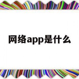 网络app是什么(网络app是什么工作)