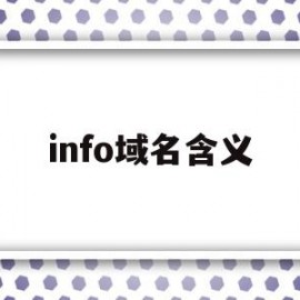 info域名含义(info域名有价值吗)