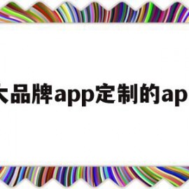 关于大品牌app定制的app的信息