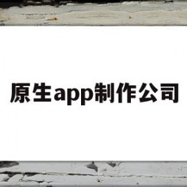 原生app制作公司(原生app制作公司怎么样)