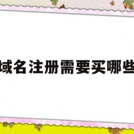 域名注册需要买哪些(域名注册需要哪些资料)