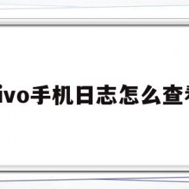 vivo手机日志怎么查看(vivo查手机一天使用记录)