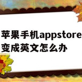 苹果手机appstore变成英文怎么办(苹果手机appstore变成英文了怎么办)