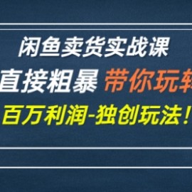 闲鱼卖货实战课，简单直接粗暴，带你玩转闲鱼-百万利润-独创玩法！