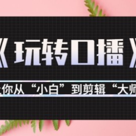 月营业额700万+大佬教您《玩转口播》让你从“小白”到剪辑“大师”