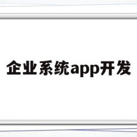 企业系统app开发(企业系统app开发)