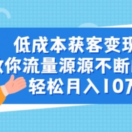 极低的成本获得超高的精准粉丝，全过程分享