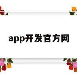 app开发官方网(app开发平台有哪些)