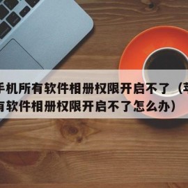 苹果手机所有软件相册权限开启不了（苹果手机所有软件相册权限开启不了怎么办）