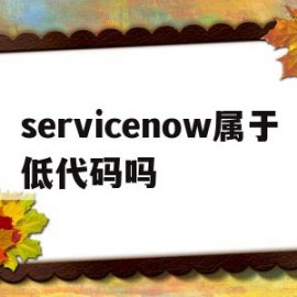 servicenow属于低代码吗的简单介绍