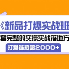 《新品打爆实战班》一套完整的实操实战落地方法，打爆链接超2000+（38节课)