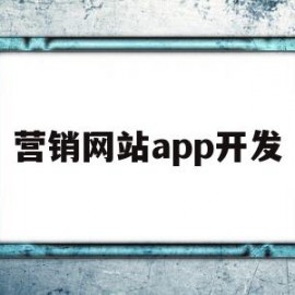 营销网站app开发(网站及APP开发招聘)