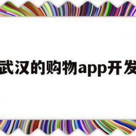 武汉的购物app开发(武汉手机app软件开发)