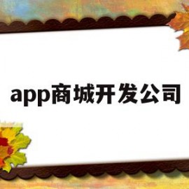 app商城开发公司(商城app开发大概多少钱是不是诈骗)