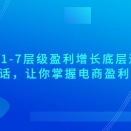 电商1-7层级盈利增长底层逻辑课：用简单的话，让你掌握电商盈利的底层逻辑