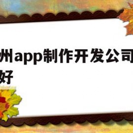 广州app制作开发公司哪家好(广州app制作开发公司哪家好一点)