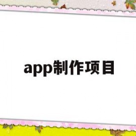 app制作项目(APP制作项目存在的问题)