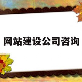 网站建设公司咨询(网站建设公司是干嘛的)