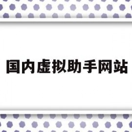 国内虚拟助手网站(虚拟助手下载手机版)