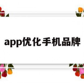 app优化手机品牌(哪个品牌的手机优化好)