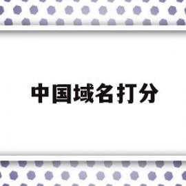 关于中国域名打分的信息