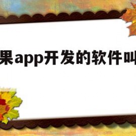 苹果app开发的软件叫什么(苹果app开发的软件叫什么软件)