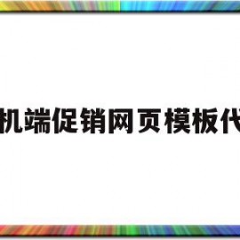 手机端促销网页模板代码(手机端促销网页模板代码怎么设置)