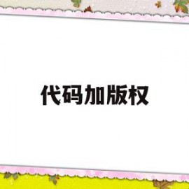 代码加版权(代码版权声明)