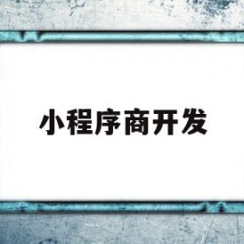 小程序商开发(小程序商店开发)