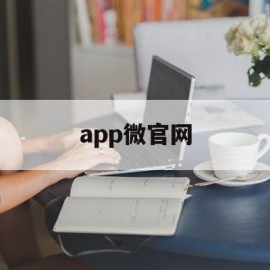 app微官网(官网微信app)