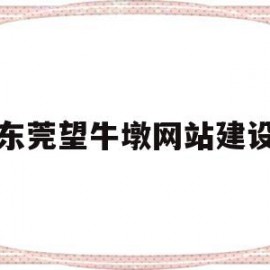 东莞望牛墩网站建设(东莞望牛墩2021年)