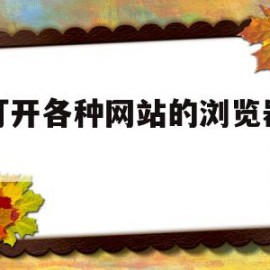 能打开各种网站的浏览器在线(能打开各种网站的浏览器在线浏览)