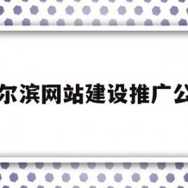 哈尔滨网站建设推广公司(哈尔滨网站建设推广公司招聘)