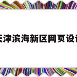 天津滨海新区网页设计(天津市滨海新区网络化管理中心在哪里)