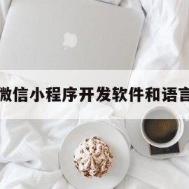 微信小程序开发软件和语言(微信小程序开发什么语言)