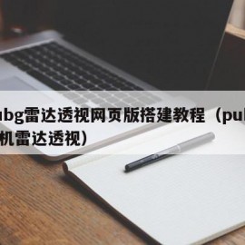 pubg雷达透视网页版搭建教程（pubg手机雷达透视）