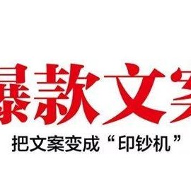 【爆款文案】爆款文案赚钱指南，从小白到卖货高手