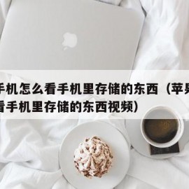 苹果手机怎么看手机里存储的东西（苹果手机怎么看手机里存储的东西视频）