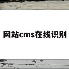 网站cms在线识别(网站cms在线识别不了)