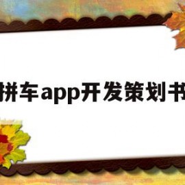 拼车app开发策划书(拼车项目计划书范文案例)